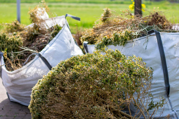 Best Trash Removal Near Me  in Cornville, AZ